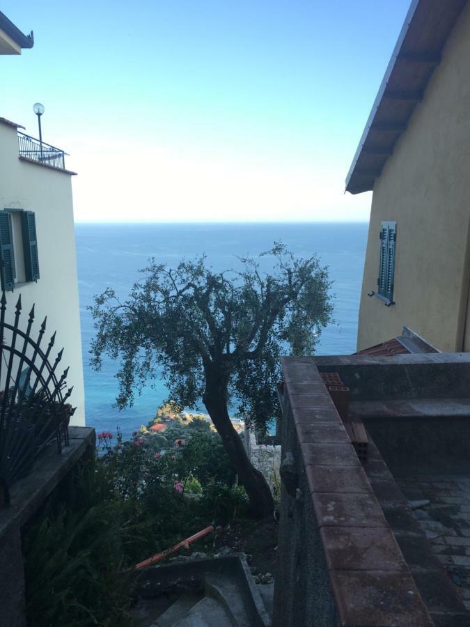 House In Grimaldi. Spectacular View Over The French Riviera! Grimaldi  Eksteriør bilde